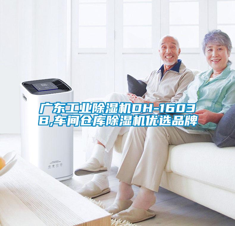 广东工业粉色视频免费在线观看DH-1603B,车间仓库粉色视频免费在线观看优选品牌