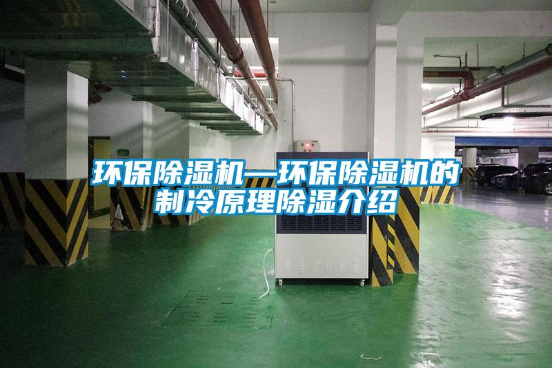 环保粉色视频免费在线观看—环保粉色视频免费在线观看的制冷原理除湿介绍