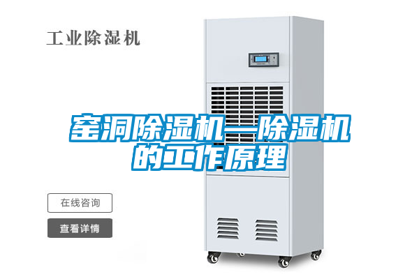 窑洞粉色视频免费在线观看—粉色视频免费在线观看的工作原理
