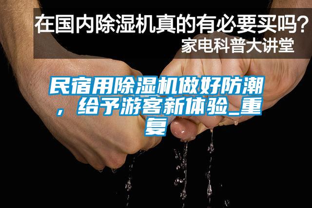 民宿用粉色视频免费在线观看做好防潮，给予游客新体验_重复