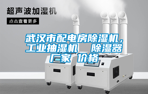 武汉市配电房粉色视频免费在线观看，工业抽湿机  除湿器厂家 价格