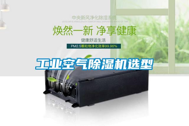 工业空气粉色视频免费在线观看选型