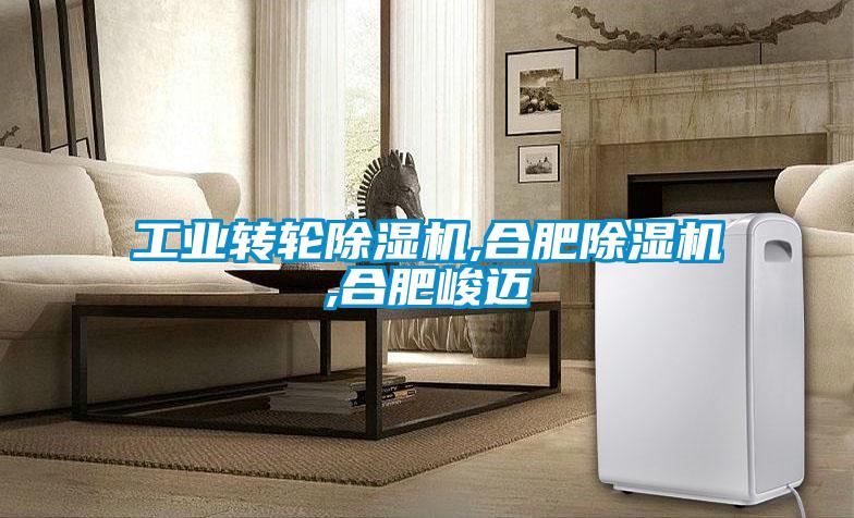 工业转轮粉色视频免费在线观看,合肥粉色视频免费在线观看,合肥峻迈