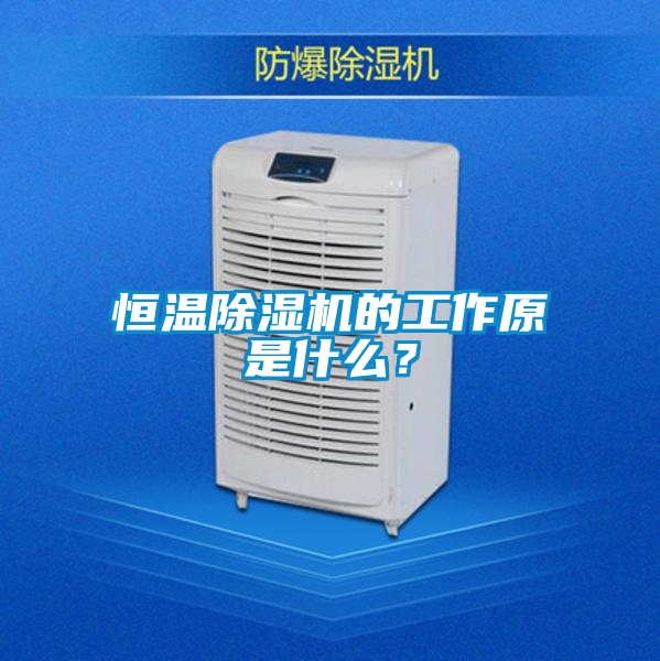 恒温粉色视频免费在线观看的工作原是什么？