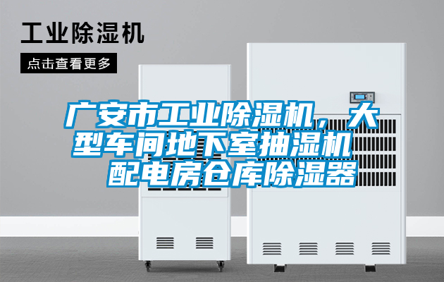 广安市工业粉色视频免费在线观看，大型车间地下室抽湿机  配电房仓库除湿器