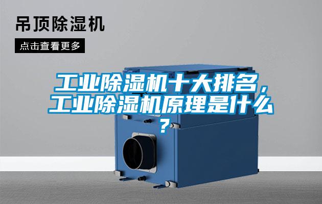 工业粉色视频免费在线观看十大排名，工业粉色视频免费在线观看原理是什么？