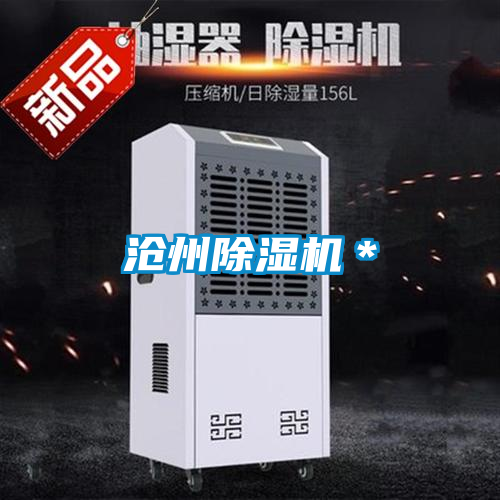 沧州粉色视频免费在线观看＊