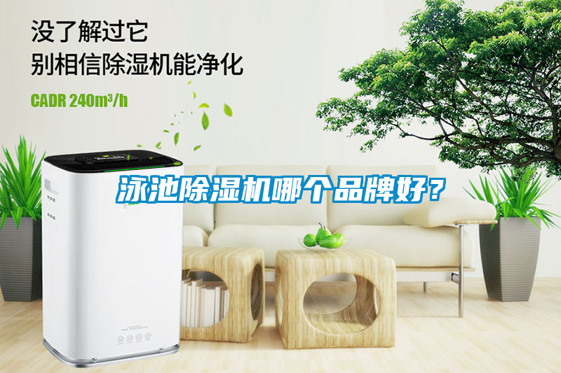 泳池粉色视频免费在线观看哪个品牌好？