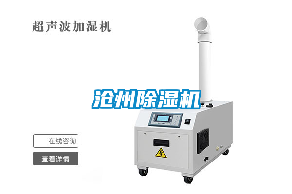 沧州粉色视频免费在线观看