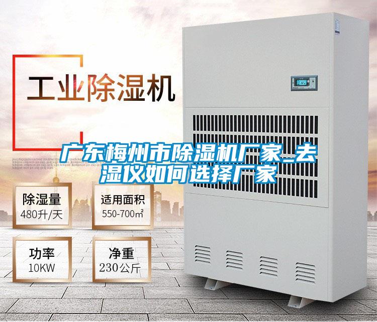 广东梅州市粉色视频免费在线观看厂家_去湿仪如何选择厂家