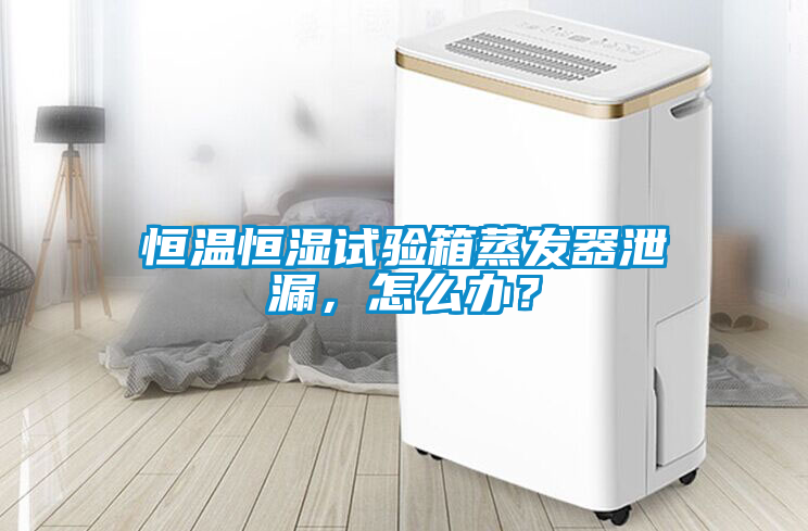 恒温恒湿试验箱蒸发器泄漏，怎么办？