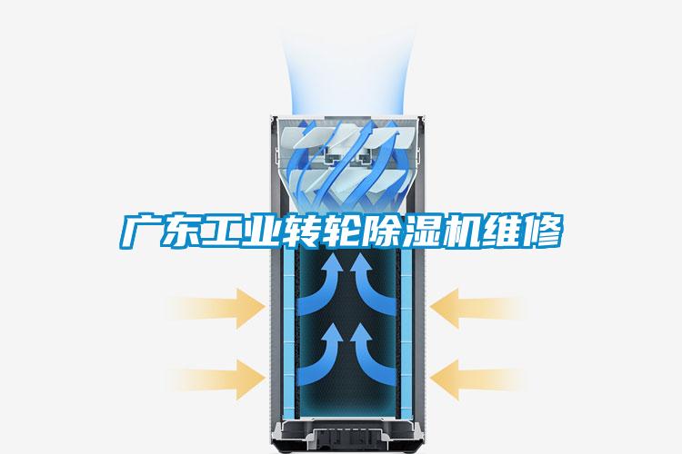 广东工业转轮粉色视频免费在线观看维修