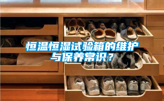 恒温恒湿试验箱的维护与保养常识？