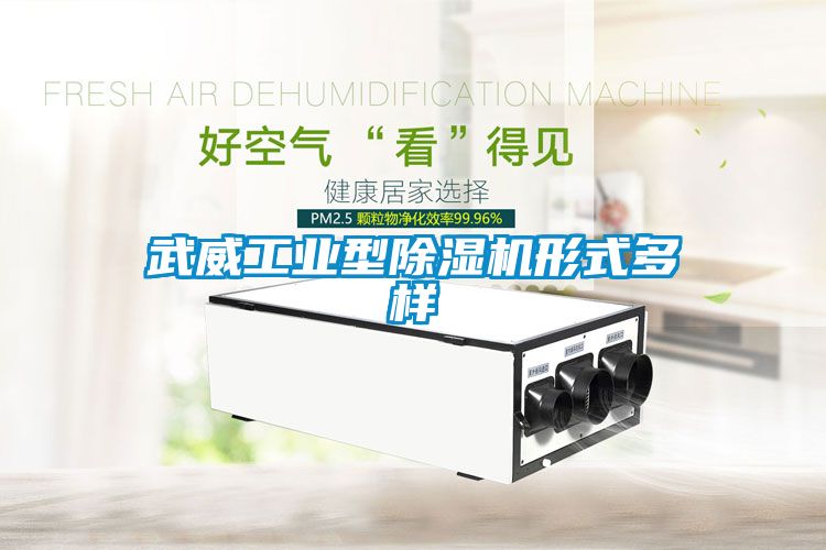 武威工业型粉色视频免费在线观看形式多样