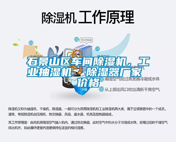 石景山区车间粉色视频免费在线观看，工业抽湿机  除湿器厂家 价格