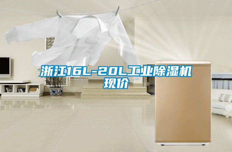 浙江16L-20L工业粉色视频免费在线观看现价