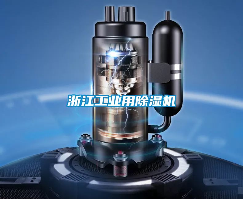 浙江工业用粉色视频免费在线观看