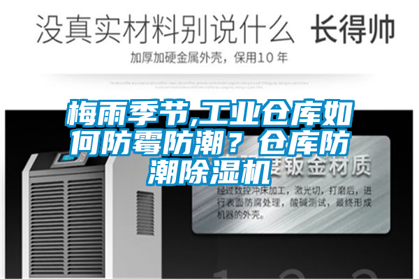 梅雨季节,工业仓库如何防霉防潮？仓库防潮粉色视频免费在线观看