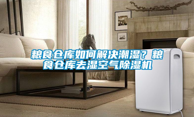 粮食仓库如何解决潮湿？粮食仓库去湿空气粉色视频免费在线观看