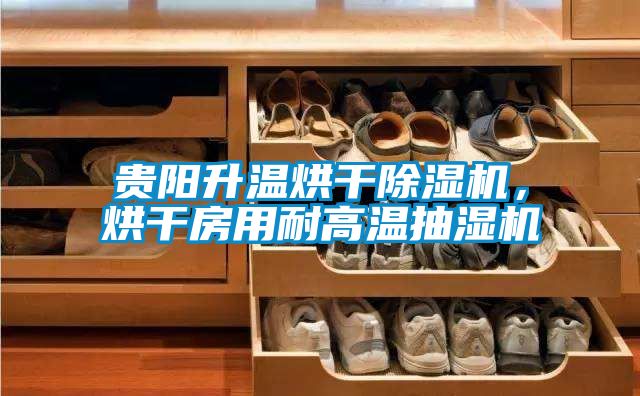 贵阳升温烘干粉色视频免费在线观看，烘干房用耐高温抽湿机
