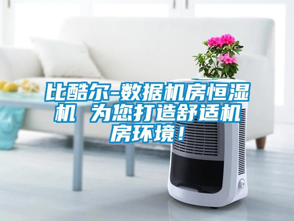 比酷尔-数据机房恒湿机 为您打造舒适机房环境！