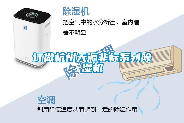 订做杭州天源非标系列粉色视频免费在线观看
