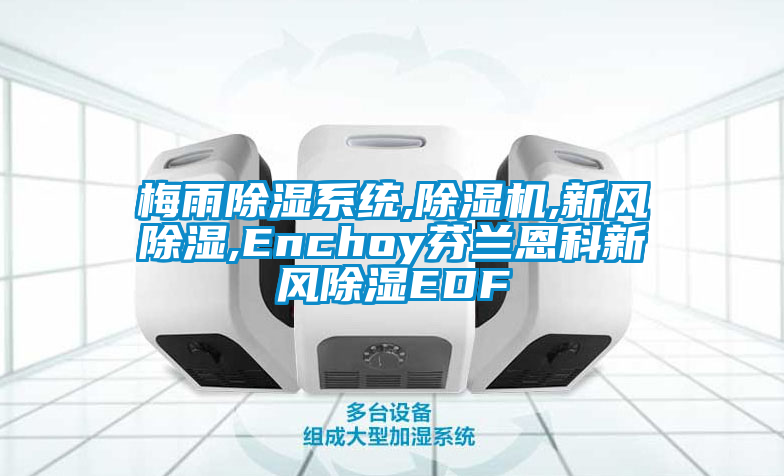 梅雨除湿系统,粉色视频免费在线观看,新风除湿,Enchoy芬兰恩科新风除湿EDF
