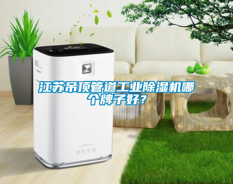 江苏吊顶管道工业粉色视频免费在线观看哪个牌子好？