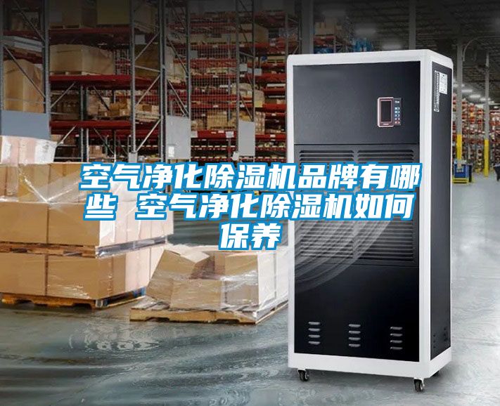 空气净化粉色视频免费在线观看品牌有哪些 空气净化粉色视频免费在线观看如何保养