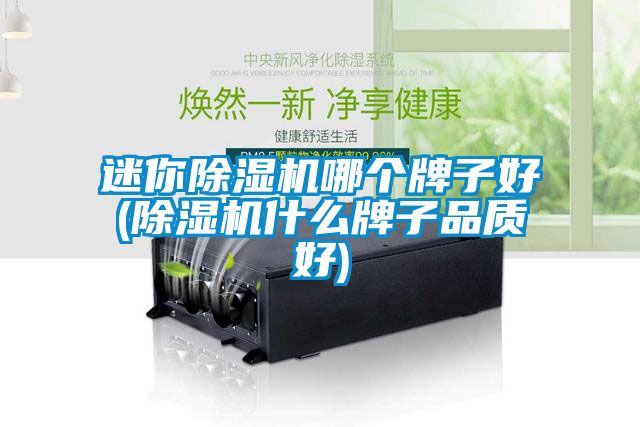 迷你粉色视频免费在线观看哪个牌子好(粉色视频免费在线观看什么牌子品质好)