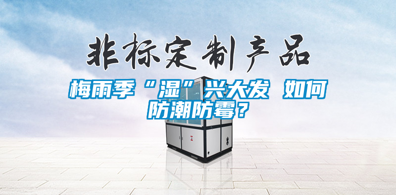 梅雨季“湿”兴大发 如何防潮防霉？
