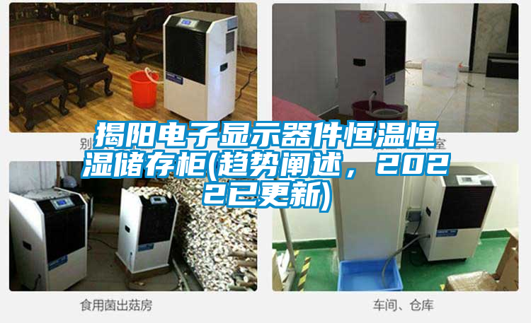 揭阳电子显示器件恒温恒湿储存柜(趋势阐述，2022已更新)