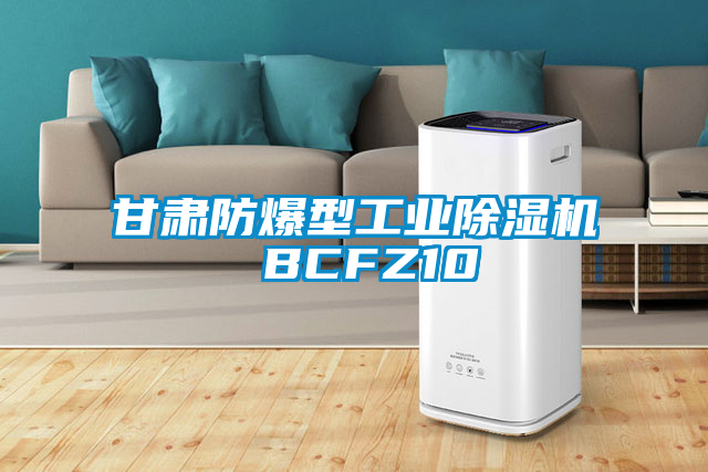 甘肃防爆型工业粉色视频免费在线观看 BCFZ10