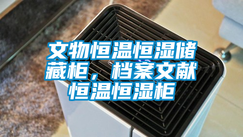 文物恒温恒湿储藏柜，档案文献恒温恒湿柜