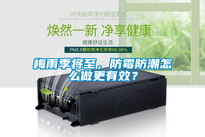 梅雨季将至，防霉防潮怎么做更有效？