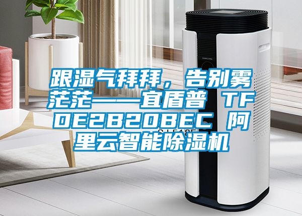 跟湿气拜拜，告别雾茫茫——宜盾普 TFDE2B20BEC 阿里云智能粉色视频免费在线观看
