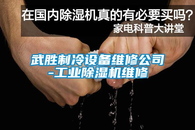 武胜制冷设备维修公司-工业粉色视频免费在线观看维修