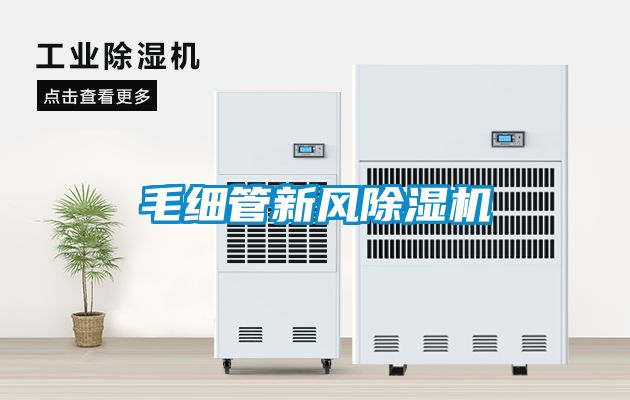 毛细管新风粉色视频免费在线观看