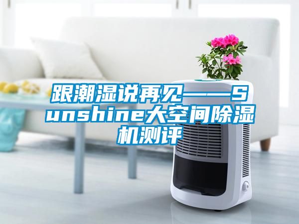 跟潮湿说再见——Sunshine大空间粉色视频免费在线观看测评