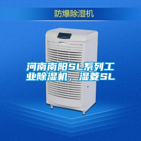 河南南阳SL系列工业粉色视频免费在线观看，湿菱SL