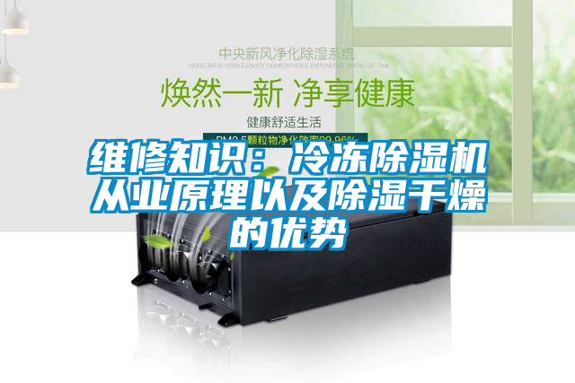 维修知识：冷冻粉色视频免费在线观看从业原理以及除湿干燥的优势