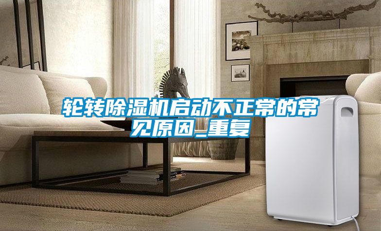 轮转粉色视频免费在线观看启动不正常的常见原因_重复
