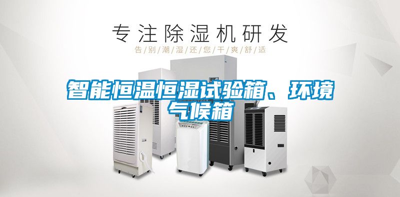智能恒温恒湿试验箱、环境气候箱