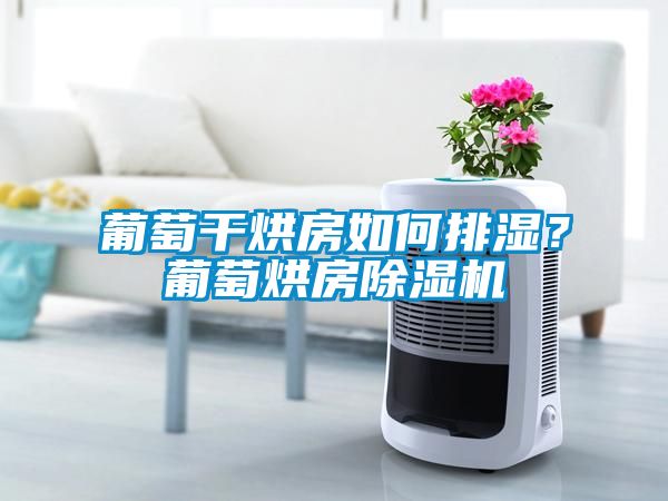 葡萄干烘房如何排湿？葡萄烘房粉色视频免费在线观看