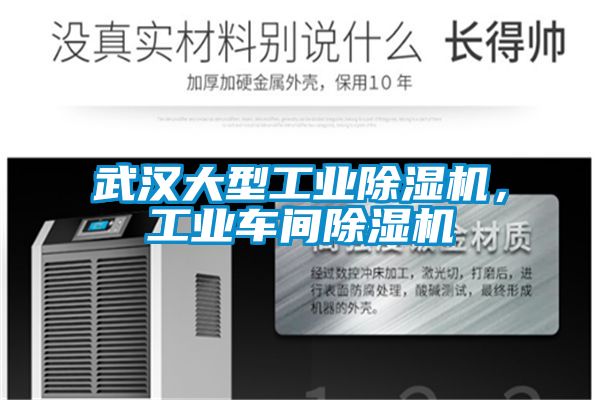 武汉大型工业粉色视频免费在线观看，工业车间粉色视频免费在线观看