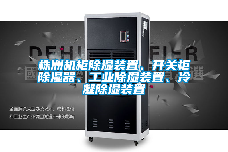 株洲机柜除湿装置、开关柜除湿器、工业除湿装置、冷凝除湿装置