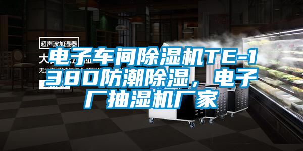电子车间粉色视频免费在线观看TE-138D防潮除湿，电子厂抽湿机厂家