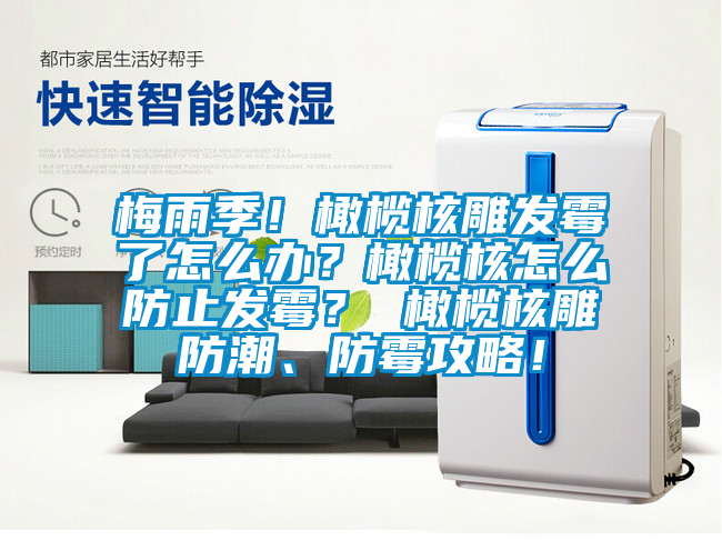 梅雨季！橄榄核雕发霉了怎么办？橄榄核怎么防止发霉？ 橄榄核雕防潮、防霉攻略！