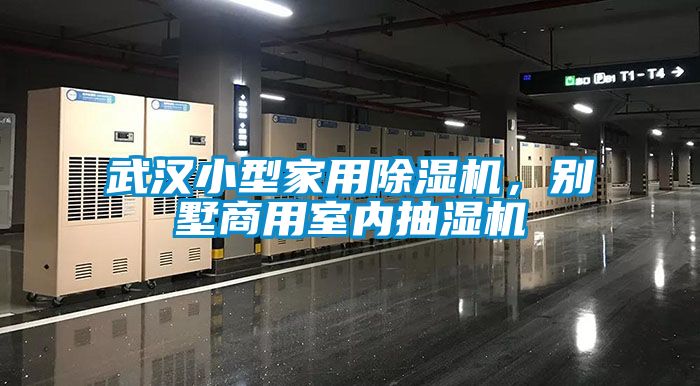 武汉小型家用粉色视频免费在线观看，别墅商用室内抽湿机