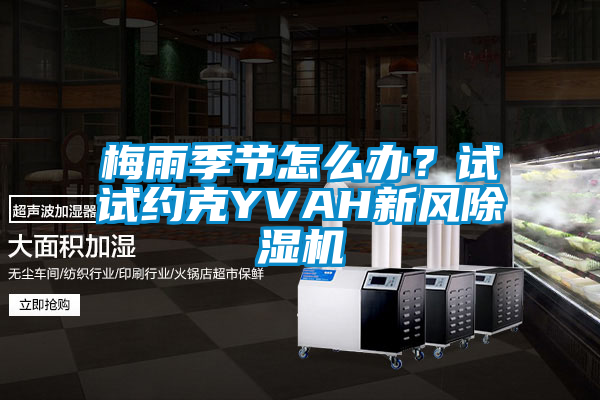 梅雨季节怎么办？试试约克YVAH新风粉色视频免费在线观看